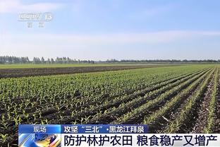 米体：圣西罗球场重新铺设草皮，50万欧元花费由米兰双雄承担